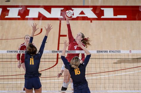 Womens Volleyball Sweeps Cal For First Win Of Season The Stanford Daily