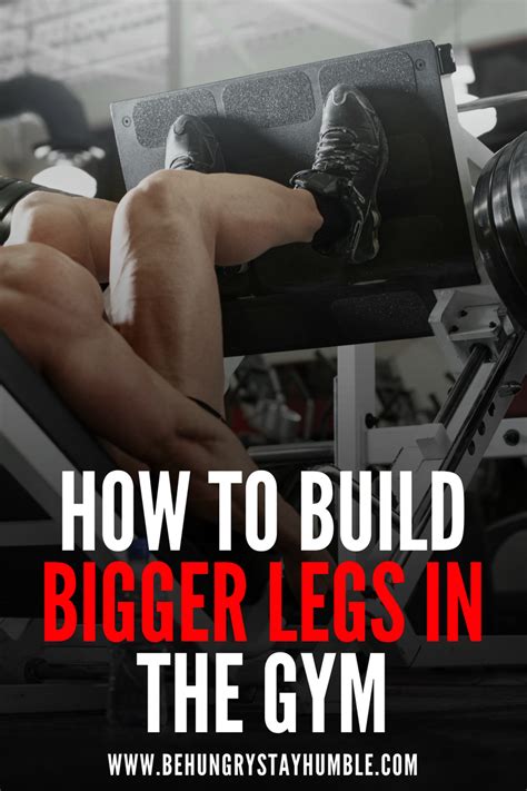 How To Get Bigger Legs Leg Workouts For Men Beginner Leg Workout