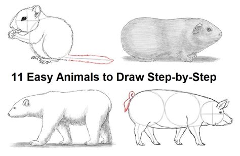 Our Easiest Animals To Draw Step By Step Great For Beginners
