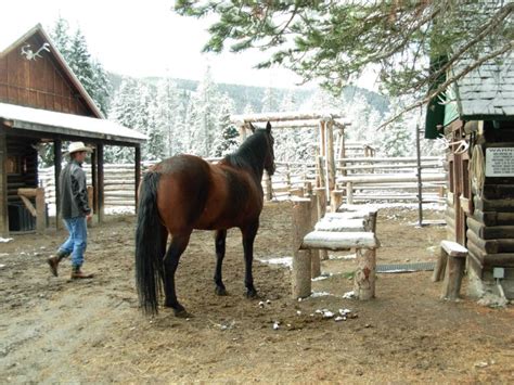 A Real Montana Dude Ranch Vacation For Dude Horses Covered Wagon Ranch