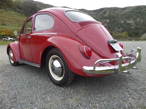 1965 Volkswagen Beetle For Sale Cc 1331936