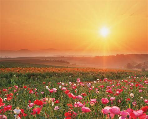 Check spelling or type a new query. That's the Way I Like It: Vast Open Fields.