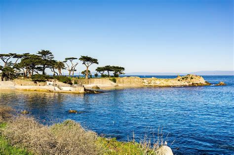 10 Best Beaches In Monterey Which Monterey Beach Is Right For You