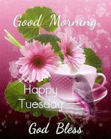 10 Joyful Good Morning Tuesday Images Quotes And Sayings