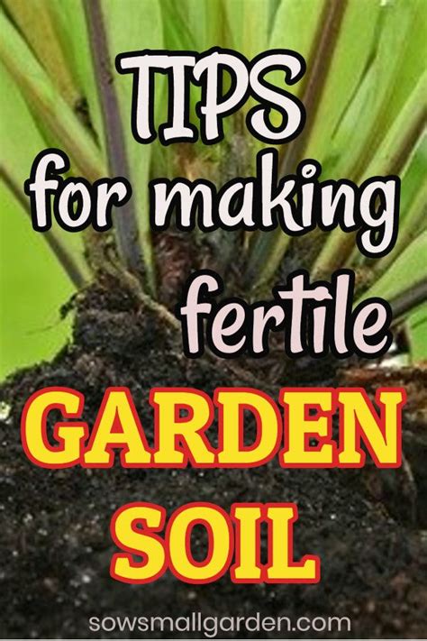 There are many ways to keep your land fertile throughout the years. How to Make Soil Fertile Naturally • Sow Small Garden in ...