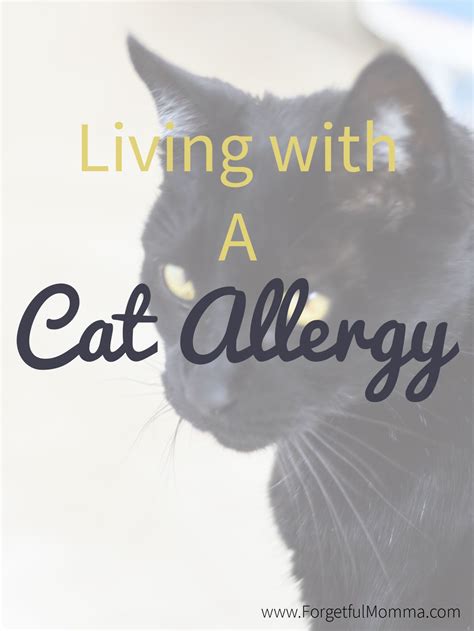 Living With A Cat Allergy Cat Allergies Pet Allergies Cradles Lyrics