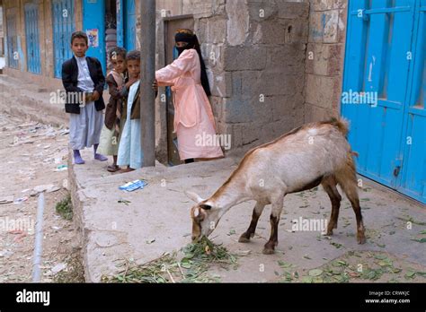 Village Children And A Goat Haraz Mountains Manakhah Sanaa Yemen
