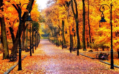10 Best High Definition Autumn Wallpaper Full Hd 1080p For Pc