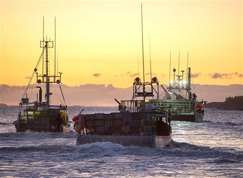 Four Arrested As Nova Scotia Lobster Fishing Dispute
