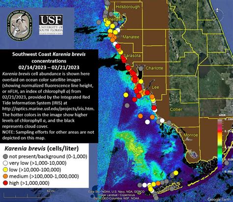 Red Tide Report For Week Of 2242023 Boca Beacon
