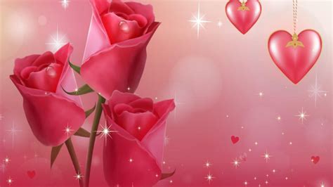Beautiful Pink Roses Love Hearts Stars Download Love