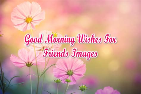 Beautiful Good Morning Wishes For Friends Images Superbwishes