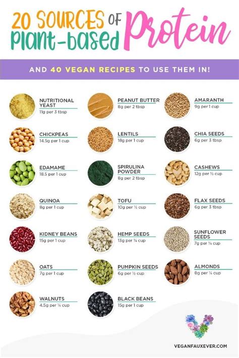 25 Best Vegan Protein Sources For Plant Based Diets Guide To Vegan