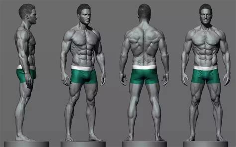 Pin By Dima Kepski On Character Design Human Anatomy Art Man Anatomy