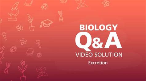 Excretion Life Processes Notes Questions Answers For Cbse Class
