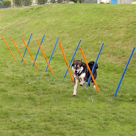 Pet Outdoor Dog Agility Sports Training Poles Equipment Dogs Activity