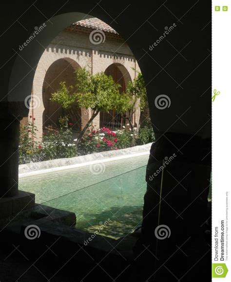 Shaded Courtyard With Water Feature Stock Photo Image Of Pool