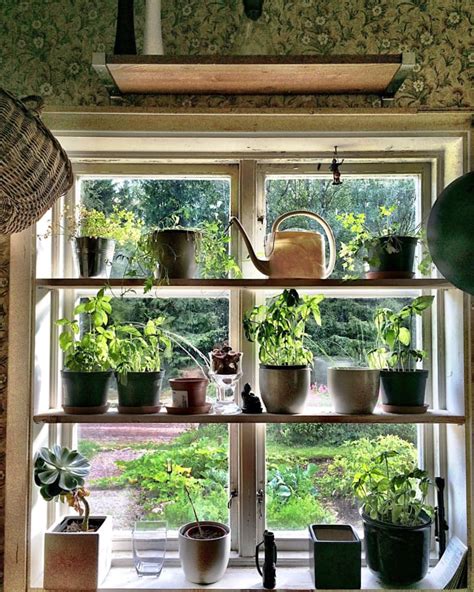 How To Make Your Own Kitchen Window Herb Garden The Kitchn