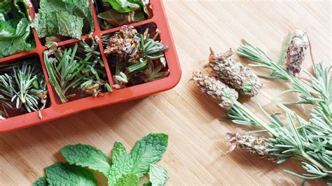 5 Easy Ways To Preserve Fresh Herbs Mulhalls