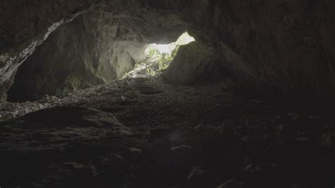 Entrance In Cave Stock Footage Sbv 329943947 Storyblocks