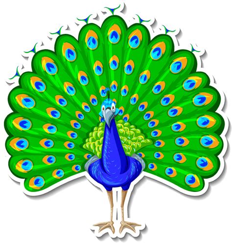 peacock clipart vector art icons and graphics for free download