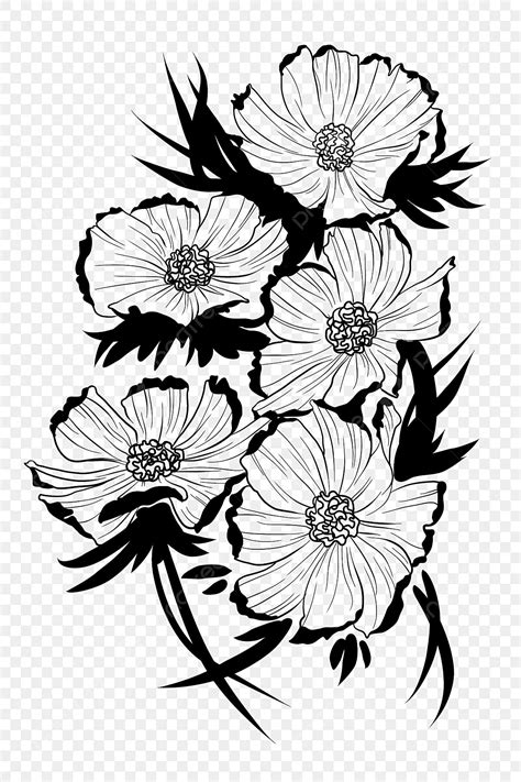 Black And White Flower Illustration Flower Drawing Flower Sketch