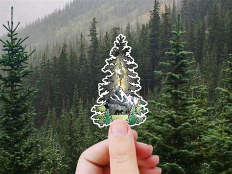 For The Person Who Secretly Wants To Get Lost In The Forest Evergreen