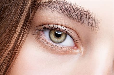 10 Surprising Facts About Hazel Eyes Page 9 Of 10 Factspedia