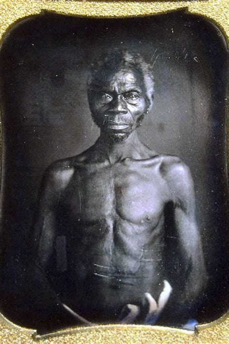 harvard sued over profiting use of slave photography