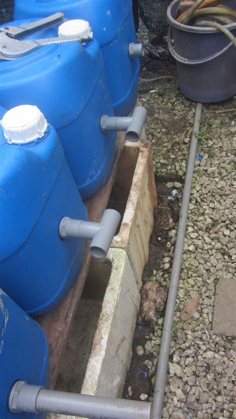 Lelaki yang didakwa membunuh dan menyumbat mayat isterinya di dalam tong air biru pada 1 mac 2021, didakwa di mahkamah majistret dan mahkamah sesyen kota tinggi pada selasa, 16 mac 2021. TERBELIAK AQUAPONIC DAN HIDROPONIC: PROJEK TERBARU- TONG ...