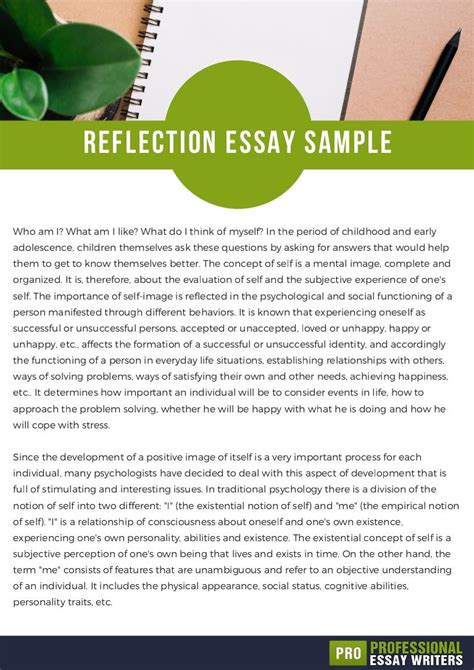 Reflection Essay Sample