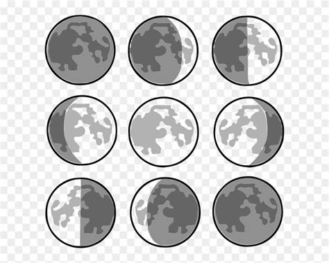 8 Phases Of The Moon Clipart 726034 Pinclipart