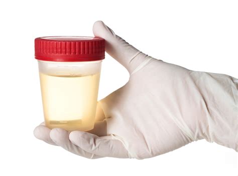 drinking urine is the latest health craze bobby bones the bobby bones show