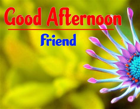 139  Top Good Afternoon Images Photo Pics Wallpaper Free Download 