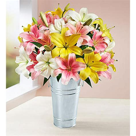 1 800 Flowers Fresh Flowers Sweet Spring Lilies Double Bouquet With