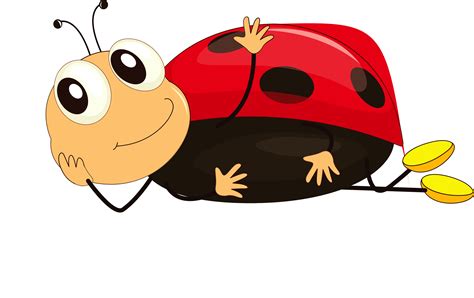 Cartoon Insect