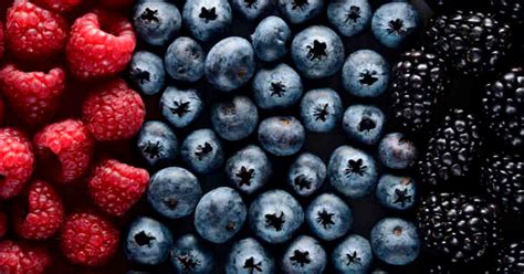 Feeding a dog fruits and vegetables is really good for them. 11 Reasons Why Berries Are Among the Healthiest Foods on Earth