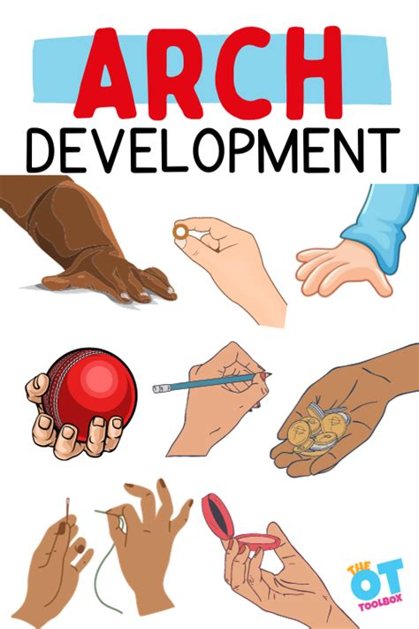 Development Of Hand Arches The Ot Toolbox