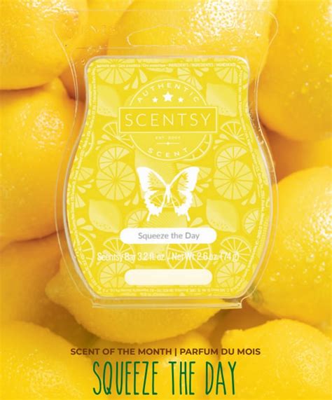 Squeeze The Day Scentsy Scent Of The Month June 2019