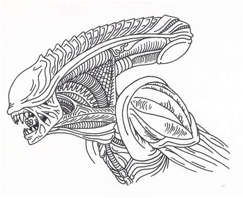 Xenomorph Drawing At Explore Collection Of