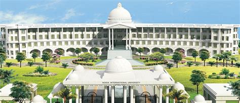 Niu Noida International University