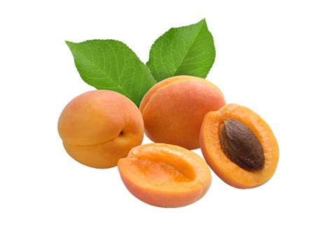 Apricot Png Transparent Background 29228904 Png