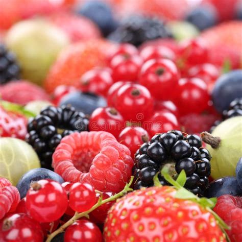 Berry Fruits Berries Fruit Collection Strawberries Blueberries Stock