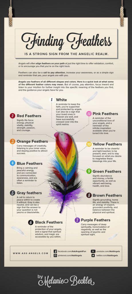 Check spelling or type a new query. Learn Angel Feather Meanings - What Do White Feathers Mean ...