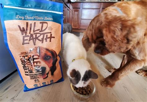 Wild earth is one of these companies. Wild Earth Dog Food Review 2020 - We're All About Pets