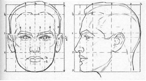 Saber Cómo Aprender A Dibujar Caras O Rostros Humanos Paso A Paso Es