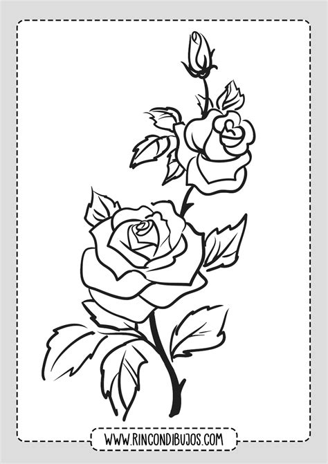Dibujos De Rosas Para Colorear Imprimir Y Pintar Rosas Gratis