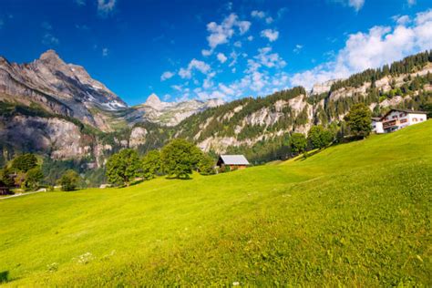 Best Braunwald Stock Photos Pictures And Royalty Free Images Istock