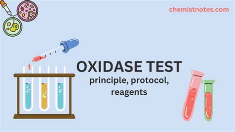 Catalase Test Principle Reagent Protocol Application Chemistry Notes