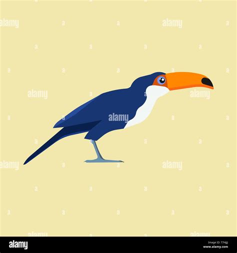 Toucan Bird Yellow Zoo Vector Icon Side View Flat Jungle Tropical